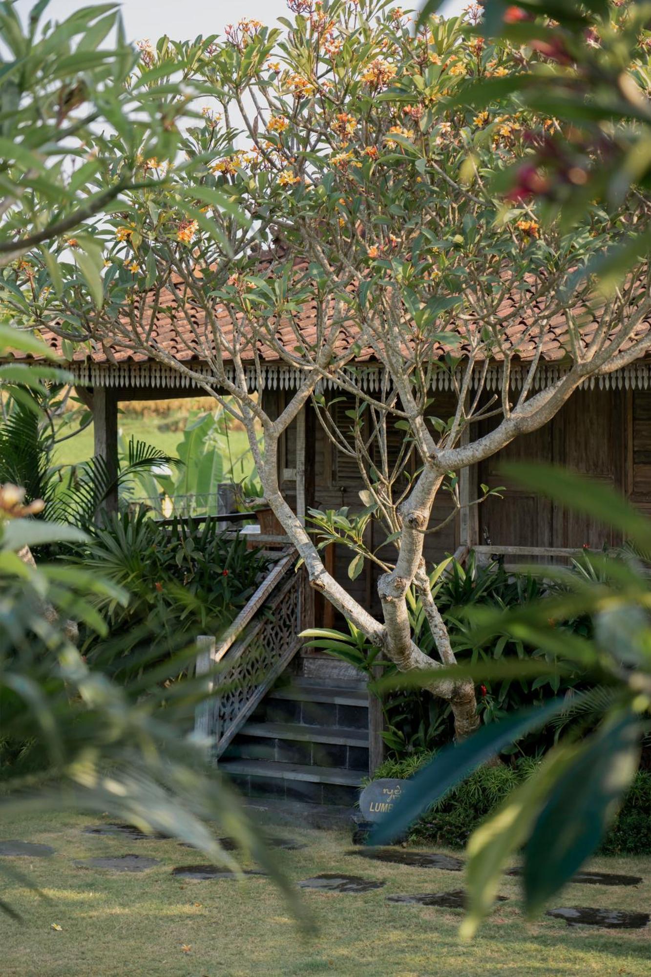 Aswanaya Villas Ubud מראה חיצוני תמונה